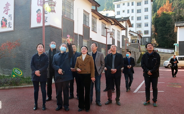 4李兴旺书记在镇巴县市级乡村振兴示范镇黎坝镇考察_副本.jpg