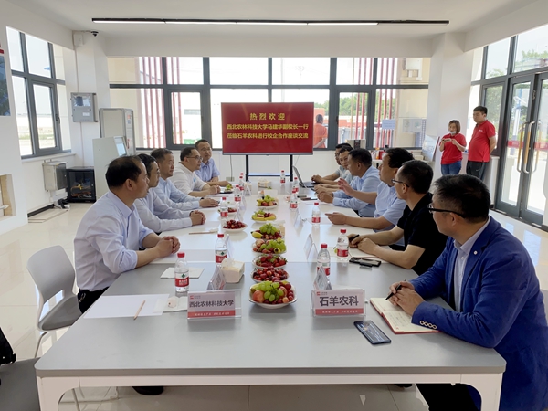 在陕西石羊农业科技股份有限公司座谈_副本.jpg
